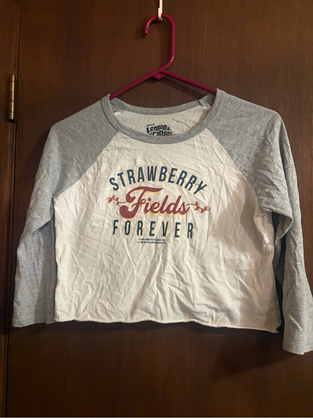 Women's 'Strawberry Fields Forever' Cropped Raglan Top - White & Light Gray